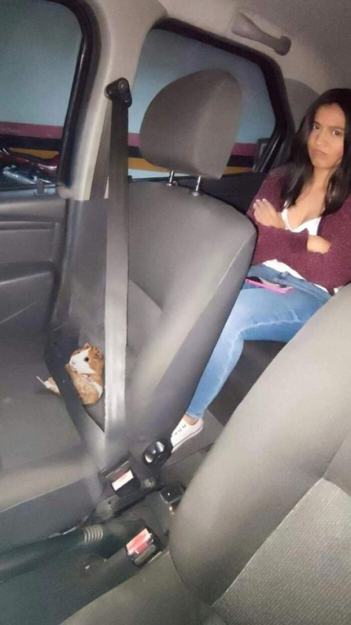 50 Times People Saw Something That Made Them Go ‘Hmmm’ And Just Had To Share It Online (New Pics) 50 Times People Saw Something That Made Them Go ‘Hmmm’ And Just Had To Share It Online (New Pics)