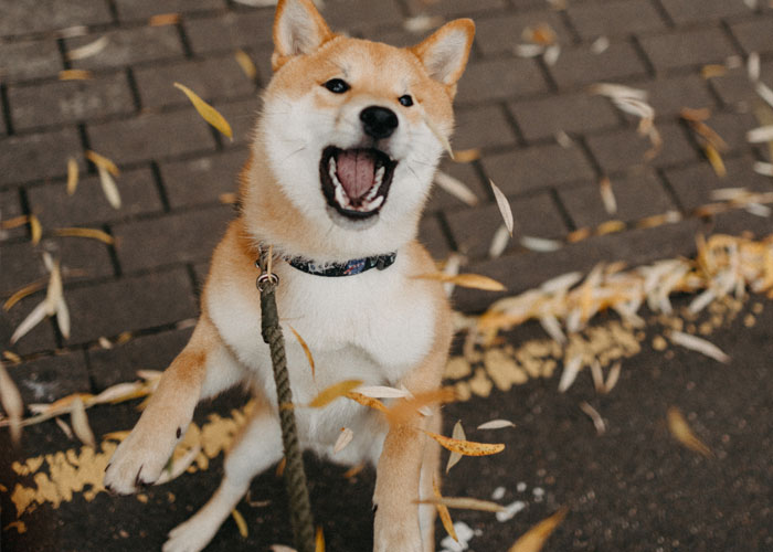 The Internet Stands Up For This Woman Who Refused To Pay For Gender Reveal Cupcakes The Internet Stands Up For This Woman Who Refused To Pay For Gender Reveal Cupcakes