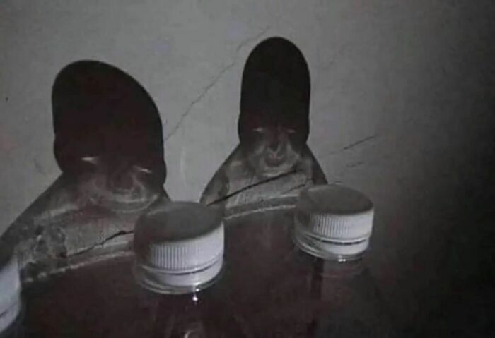 50 Of The Best “Chaotic Food” Pics That Might Raise A Few Questions (New Pics) 50 Of The Best “Chaotic Food” Pics That Might Raise A Few Questions (New Pics)