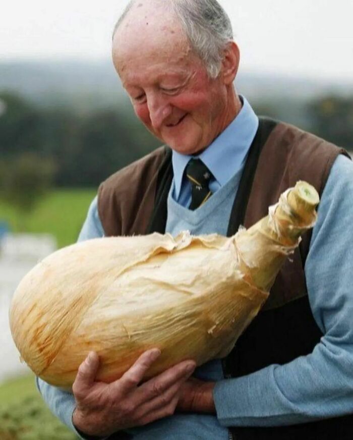 50 Of The Best “Chaotic Food” Pics That Might Raise A Few Questions (New Pics) 50 Of The Best “Chaotic Food” Pics That Might Raise A Few Questions (New Pics)