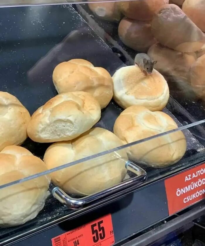 50 Of The Best “Chaotic Food” Pics That Might Raise A Few Questions (New Pics) 50 Of The Best “Chaotic Food” Pics That Might Raise A Few Questions (New Pics)