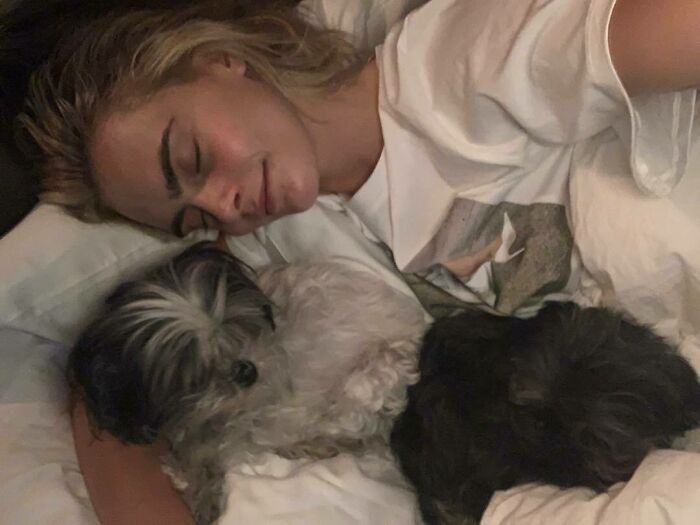 79 Photos Of Celebrities With Pets To Melt Your Heart 79 Photos Of Celebrities With Pets To Melt Your Heart