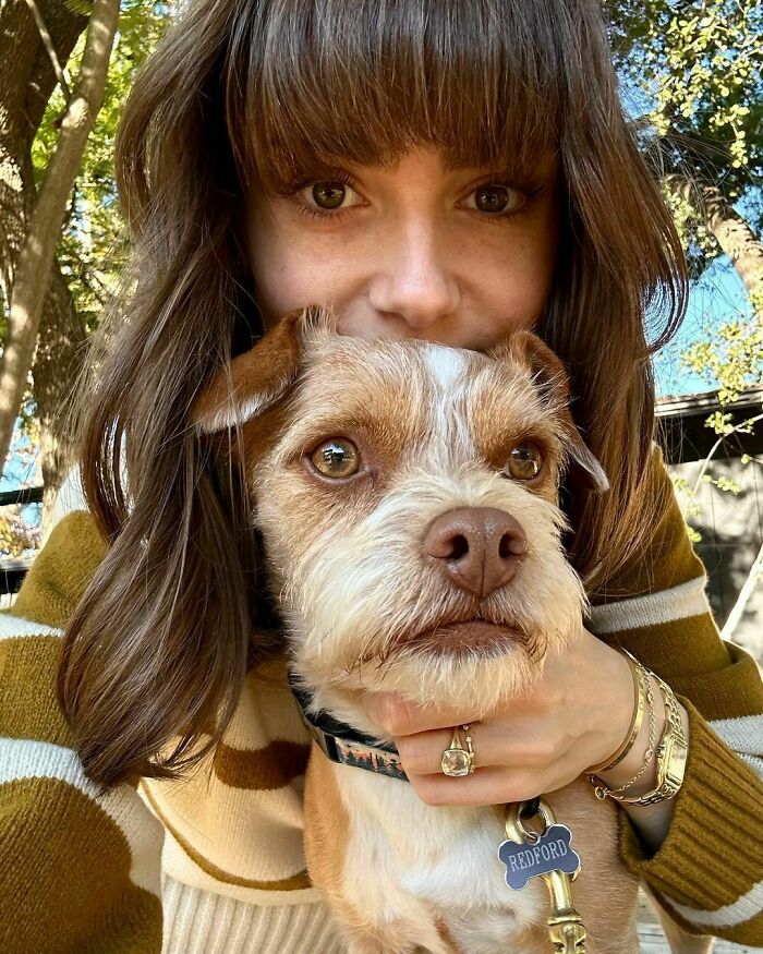 79 Photos Of Celebrities With Pets To Melt Your Heart 79 Photos Of Celebrities With Pets To Melt Your Heart