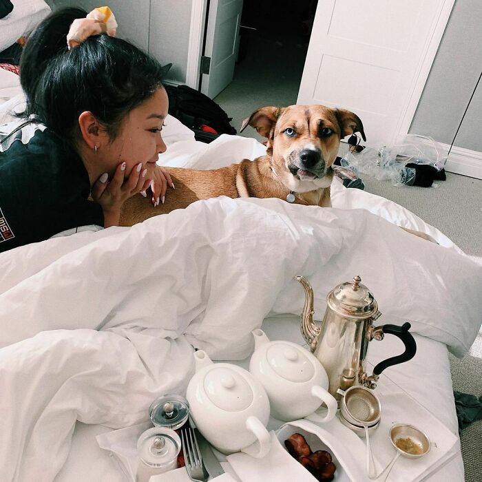 79 Photos Of Celebrities With Pets To Melt Your Heart 79 Photos Of Celebrities With Pets To Melt Your Heart