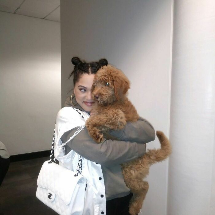 79 Photos Of Celebrities With Pets To Melt Your Heart 79 Photos Of Celebrities With Pets To Melt Your Heart