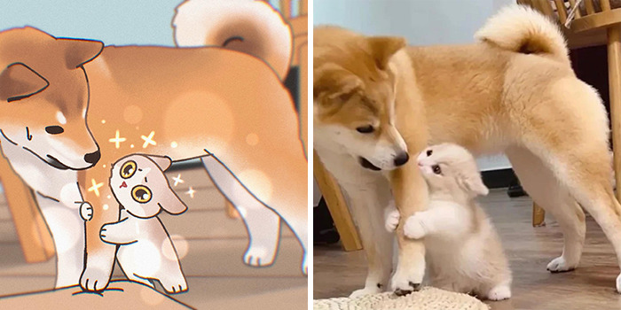 Funny Images Of Cats Found On The Internet Get Transformed Into Cute Illustrations By This Artist (31 Pics) Funny Images Of Cats Found On The Internet Get Transformed Into Cute Illustrations By This Artist (31 Pics)