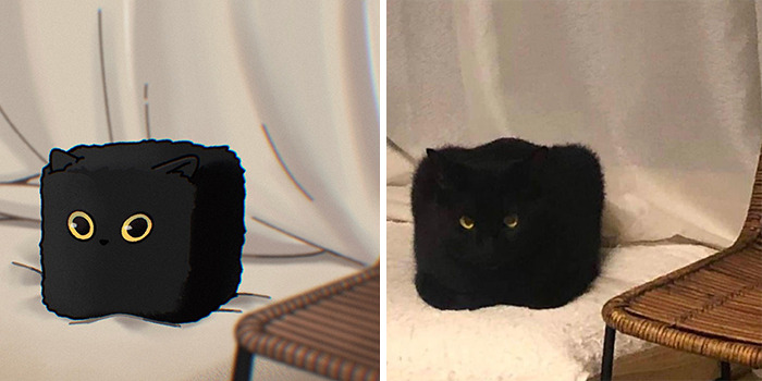 Funny Images Of Cats Found On The Internet Get Transformed Into Cute Illustrations By This Artist (31 Pics) Funny Images Of Cats Found On The Internet Get Transformed Into Cute Illustrations By This Artist (31 Pics)