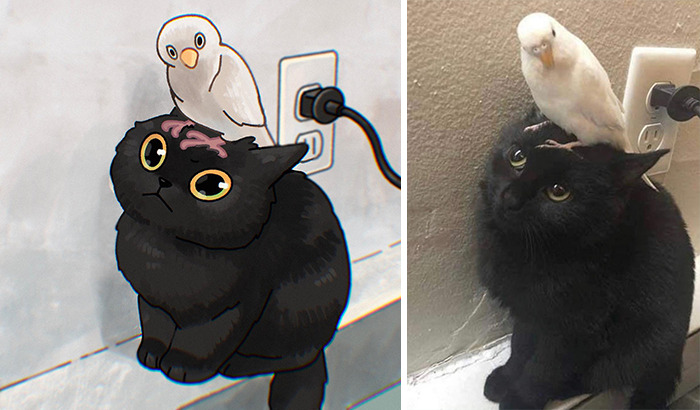 Funny Images Of Cats Found On The Internet Get Transformed Into Cute Illustrations By This Artist (31 Pics) Funny Images Of Cats Found On The Internet Get Transformed Into Cute Illustrations By This Artist (31 Pics)