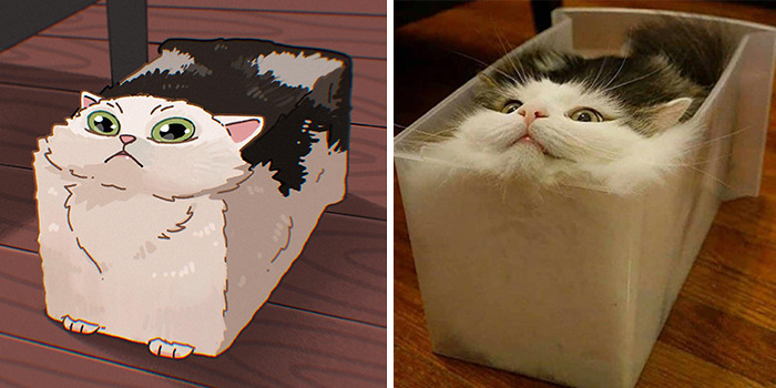 Funny Images Of Cats Found On The Internet Get Transformed Into Cute Illustrations By This Artist (31 Pics) Funny Images Of Cats Found On The Internet Get Transformed Into Cute Illustrations By This Artist (31 Pics)