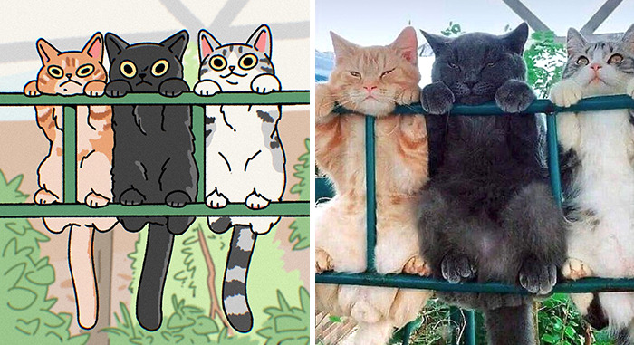 Funny Images Of Cats Found On The Internet Get Transformed Into Cute Illustrations By This Artist (31 Pics) Funny Images Of Cats Found On The Internet Get Transformed Into Cute Illustrations By This Artist (31 Pics)
