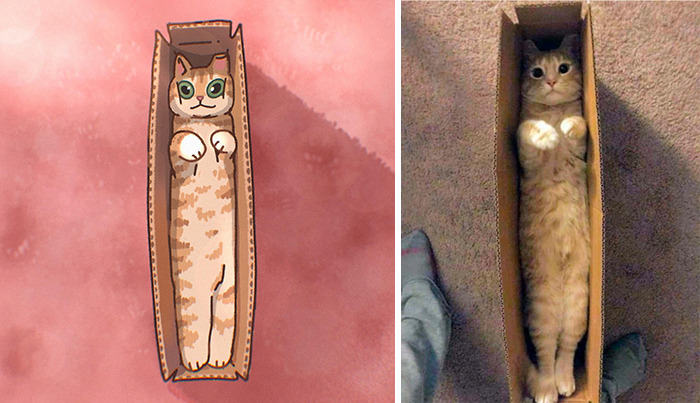Funny Images Of Cats Found On The Internet Get Transformed Into Cute Illustrations By This Artist (31 Pics) Funny Images Of Cats Found On The Internet Get Transformed Into Cute Illustrations By This Artist (31 Pics)