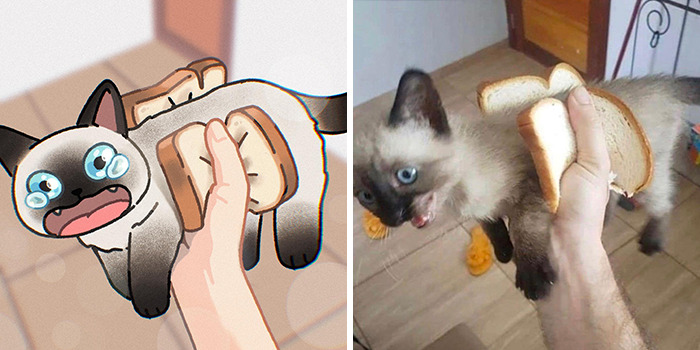 Funny Images Of Cats Found On The Internet Get Transformed Into Cute Illustrations By This Artist (31 Pics) Funny Images Of Cats Found On The Internet Get Transformed Into Cute Illustrations By This Artist (31 Pics)