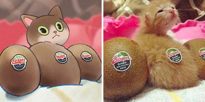 Funny Images Of Cats Found On The Internet Get Transformed Into Cute Illustrations By This Artist (31 Pics) Funny Images Of Cats Found On The Internet Get Transformed Into Cute Illustrations By This Artist (31 Pics)