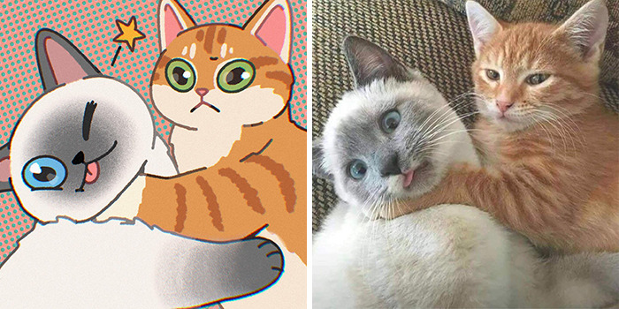 Funny Images Of Cats Found On The Internet Get Transformed Into Cute Illustrations By This Artist (31 Pics) Funny Images Of Cats Found On The Internet Get Transformed Into Cute Illustrations By This Artist (31 Pics)