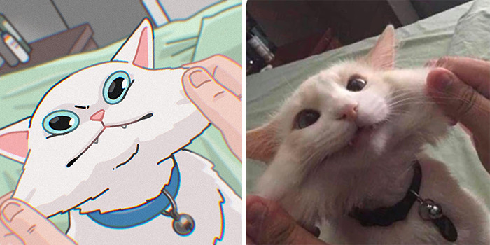 Funny Images Of Cats Found On The Internet Get Transformed Into Cute Illustrations By This Artist (31 Pics) Funny Images Of Cats Found On The Internet Get Transformed Into Cute Illustrations By This Artist (31 Pics)
