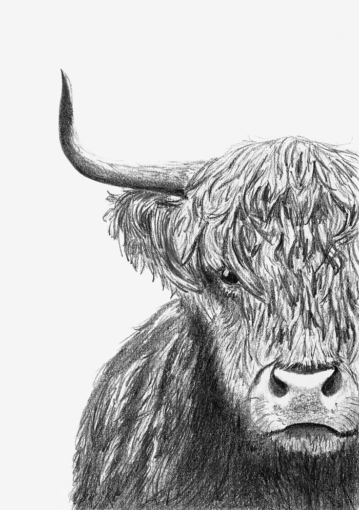 Hey Pandas, Show Us Your Most Favorite Or Treasured Drawing In Your Sketchbook (Closed) Hey Pandas, Show Us Your Most Favorite Or Treasured Drawing In Your Sketchbook (Closed)