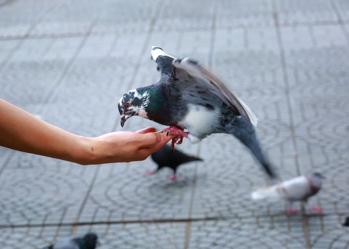 50 Historical Facts That Have Completely Ruined The Way These People See The World 50 Historical Facts That Have Completely Ruined The Way These People See The World