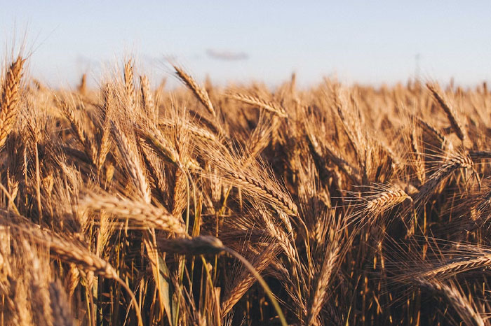 50 Historical Facts That Have Completely Ruined The Way These People See The World 50 Historical Facts That Have Completely Ruined The Way These People See The World