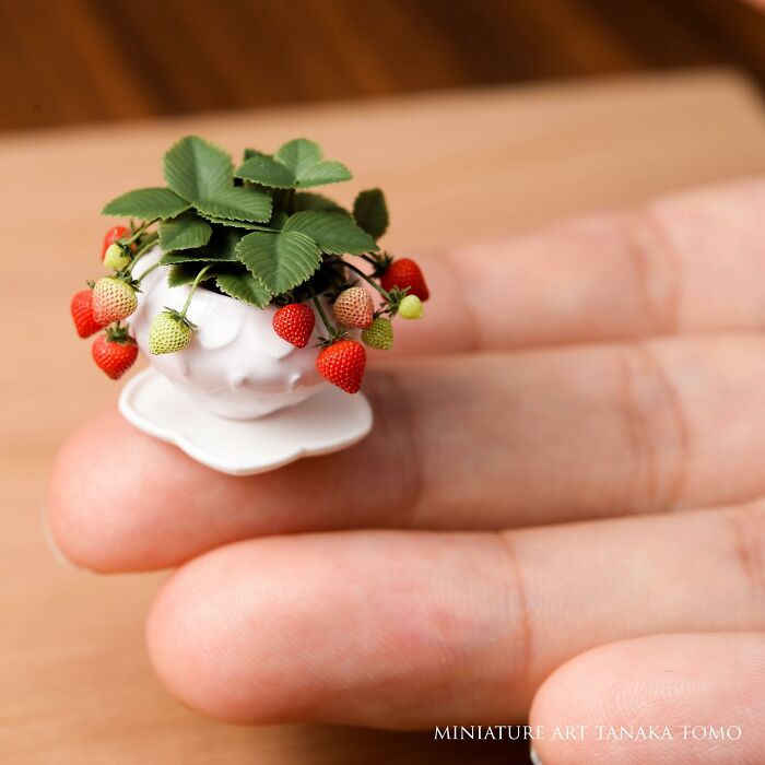 This Artist From Japan Uses Clay To Create The Most Detailed And Realistic-Looking Micro Food Sculptures (70 Pics) This Artist From Japan Uses Clay To Create The Most Detailed And Realistic-Looking Micro Food Sculptures (70 Pics)
