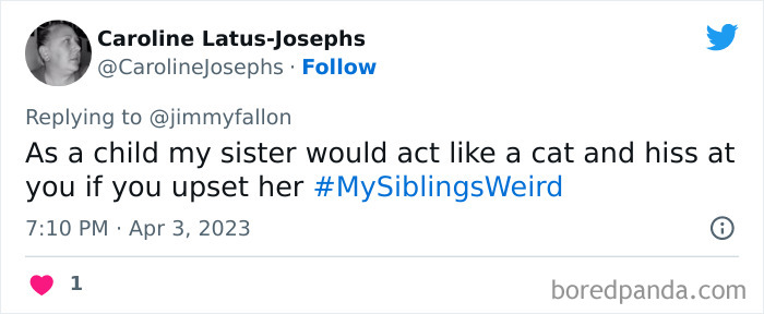 30 Of The Best Answers To Jimmy Fallon’s “My Sibling’s Weird” Challenge 30 Of The Best Answers To Jimmy Fallon’s “My Sibling’s Weird” Challenge