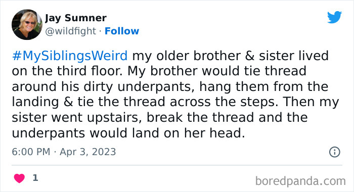 30 Of The Best Answers To Jimmy Fallon’s “My Sibling’s Weird” Challenge 30 Of The Best Answers To Jimmy Fallon’s “My Sibling’s Weird” Challenge