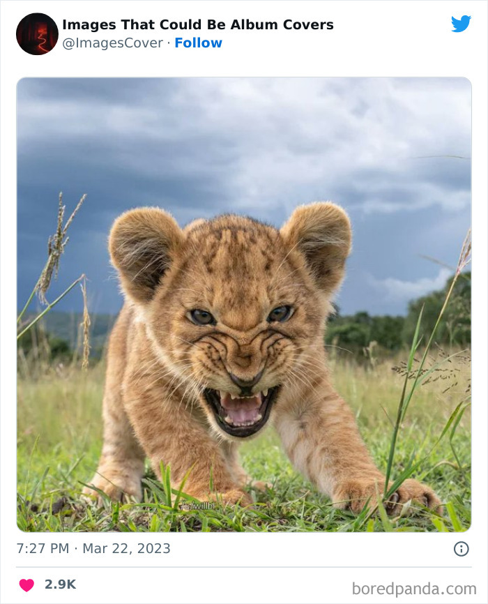 40 Images That Are So Cool And Unique, You Could Slap Them On The Cover Of Music Albums