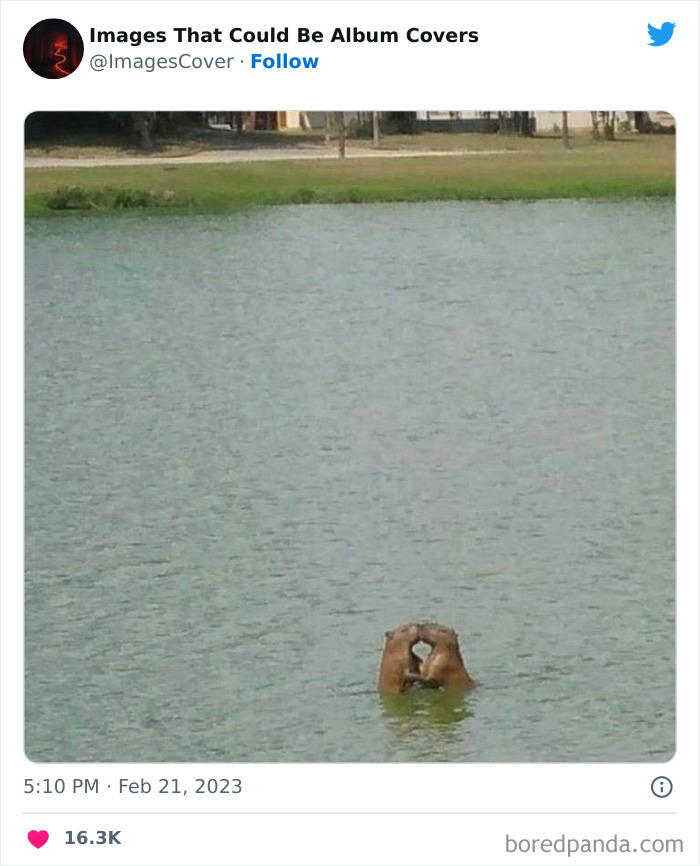 40 Images That Are So Cool And Unique, You Could Slap Them On The Cover Of Music Albums