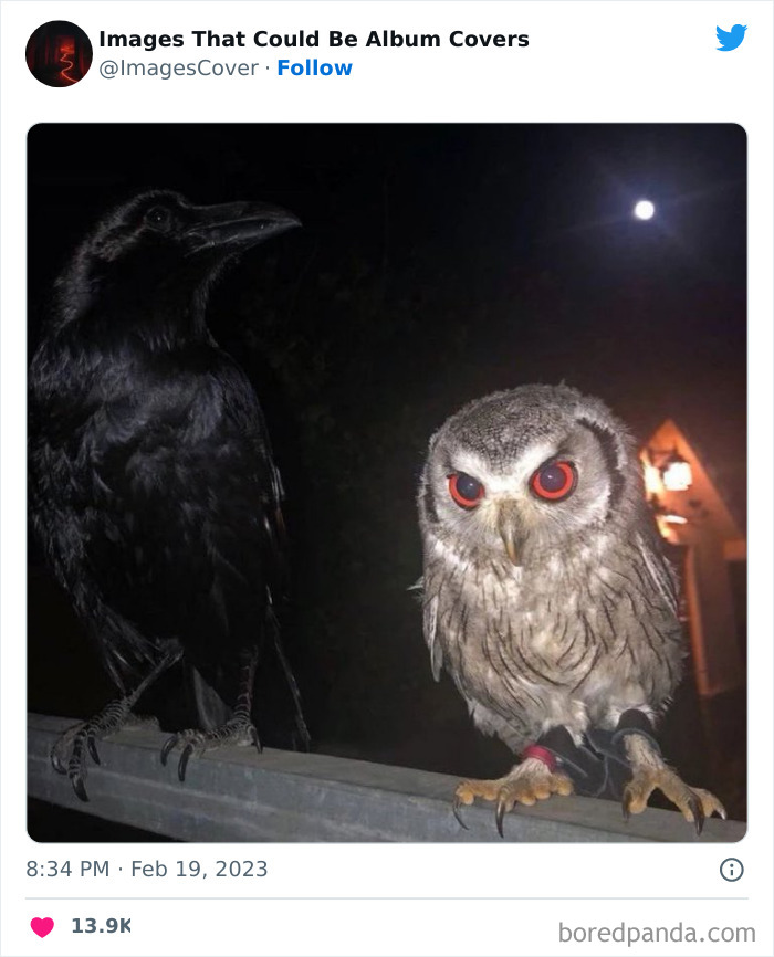 40 Images That Are So Cool And Unique, You Could Slap Them On The Cover Of Music Albums