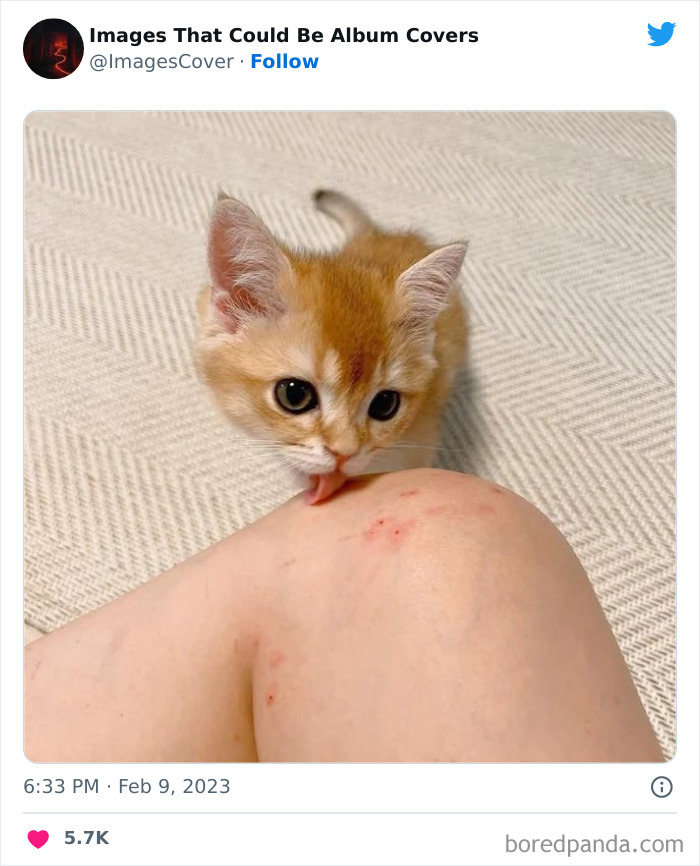 40 Images That Are So Cool And Unique, You Could Slap Them On The Cover Of Music Albums