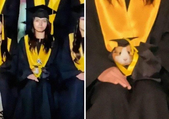 50 Times People Spotted Animals In Places They Shouldn’t Be And Just Had To Document It 50 Times People Spotted Animals In Places They Shouldn’t Be And Just Had To Document It