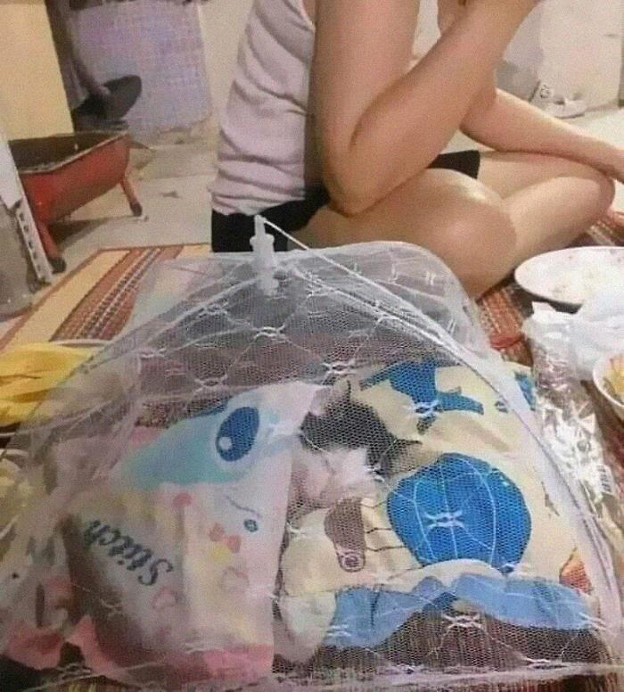 50 Times People Spotted Animals In Places They Shouldn’t Be And Just Had To Document It 50 Times People Spotted Animals In Places They Shouldn’t Be And Just Had To Document It