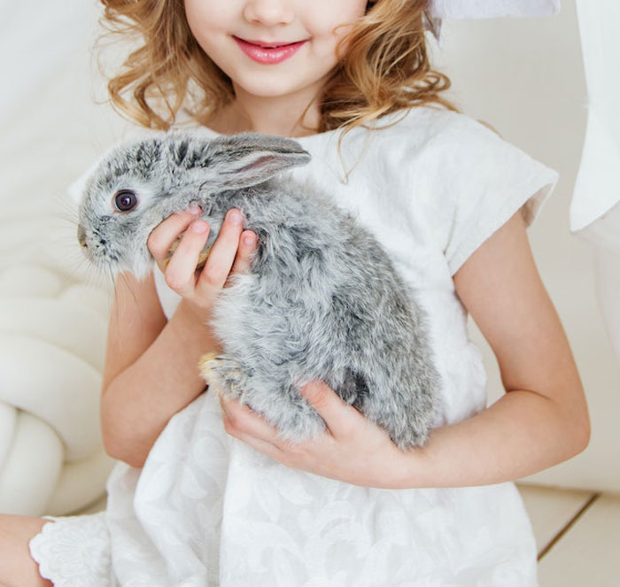 HOA Forces This Family To Get Rid Of Their Bunnies, So They Start A “Bunnypocalypse” Before Moving HOA Forces This Family To Get Rid Of Their Bunnies, So They Start A “Bunnypocalypse” Before Moving