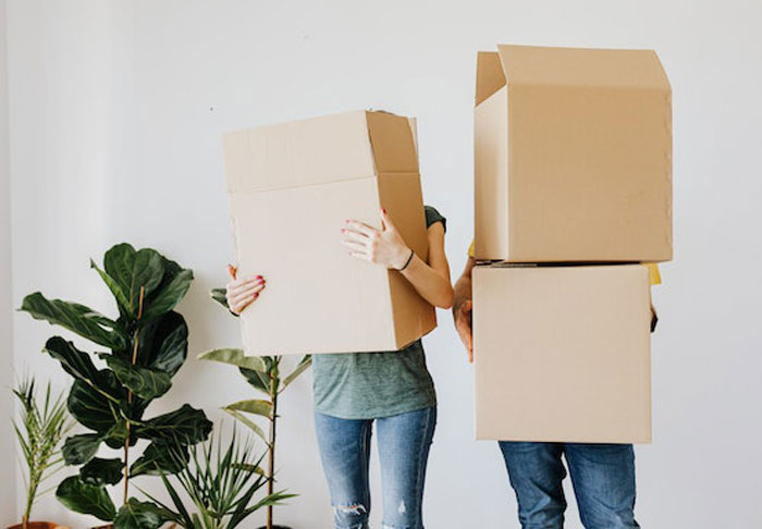 HOA Forces This Family To Get Rid Of Their Bunnies, So They Start A “Bunnypocalypse” Before Moving HOA Forces This Family To Get Rid Of Their Bunnies, So They Start A “Bunnypocalypse” Before Moving