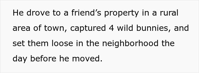 HOA Forces This Family To Get Rid Of Their Bunnies, So They Start A “Bunnypocalypse” Before Moving HOA Forces This Family To Get Rid Of Their Bunnies, So They Start A “Bunnypocalypse” Before Moving
