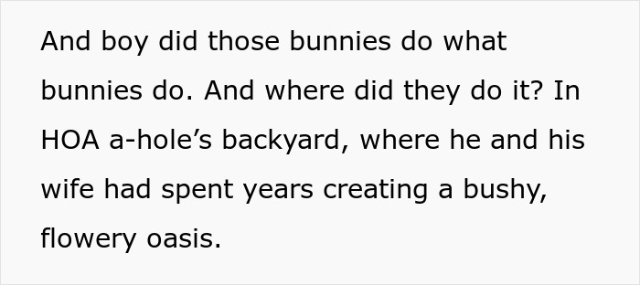 HOA Forces This Family To Get Rid Of Their Bunnies, So They Start A “Bunnypocalypse” Before Moving HOA Forces This Family To Get Rid Of Their Bunnies, So They Start A “Bunnypocalypse” Before Moving