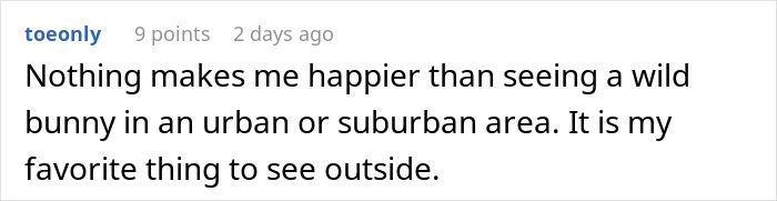 HOA Forces This Family To Get Rid Of Their Bunnies, So They Start A “Bunnypocalypse” Before Moving HOA Forces This Family To Get Rid Of Their Bunnies, So They Start A “Bunnypocalypse” Before Moving