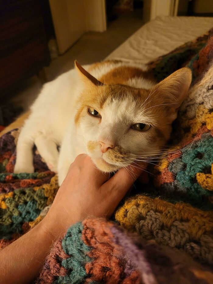 This Community For Pet Owners Helps Them To Understand If Their Pet&rsquo;s Actually A Jerk (33 Examples)