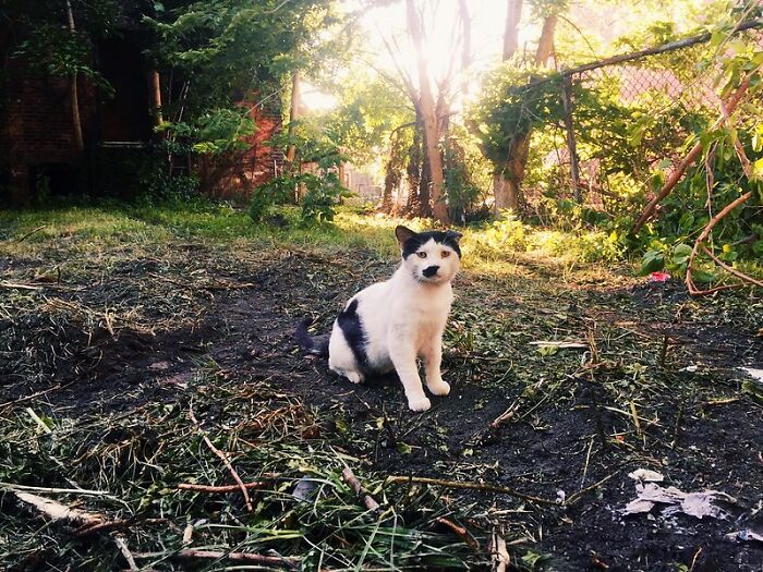 This Community For Pet Owners Helps Them To Understand If Their Pet&rsquo;s Actually A Jerk (33 Examples)