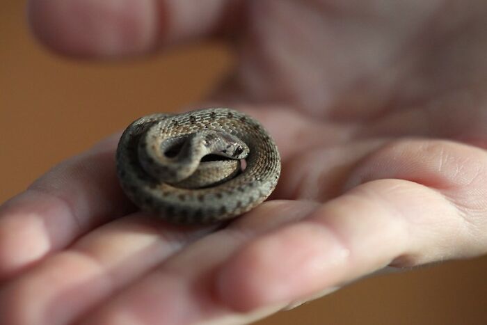 This Community For Pet Owners Helps Them To Understand If Their Pet&rsquo;s Actually A Jerk (33 Examples)