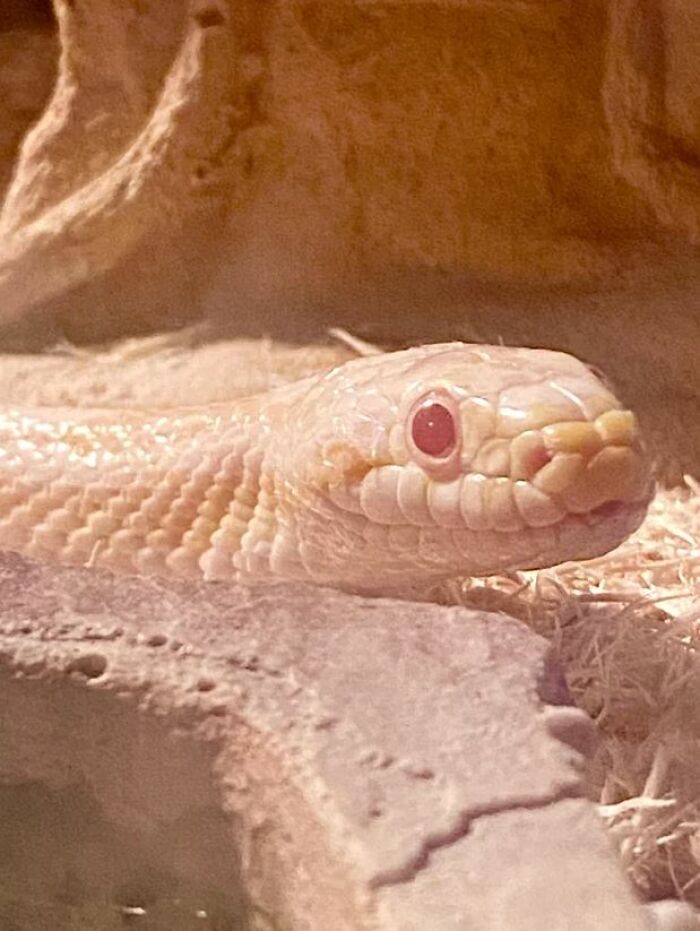 This Community For Pet Owners Helps Them To Understand If Their Pet&rsquo;s Actually A Jerk (33 Examples)