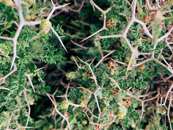 Waste Collectors Share 27 Trashy Things That People Do To Unintentionally Upset Them Waste Collectors Share 27 Trashy Things That People Do To Unintentionally Upset Them