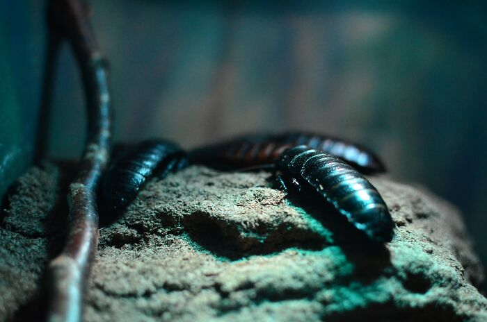 Waste Collectors Share 27 Trashy Things That People Do To Unintentionally Upset Them Waste Collectors Share 27 Trashy Things That People Do To Unintentionally Upset Them