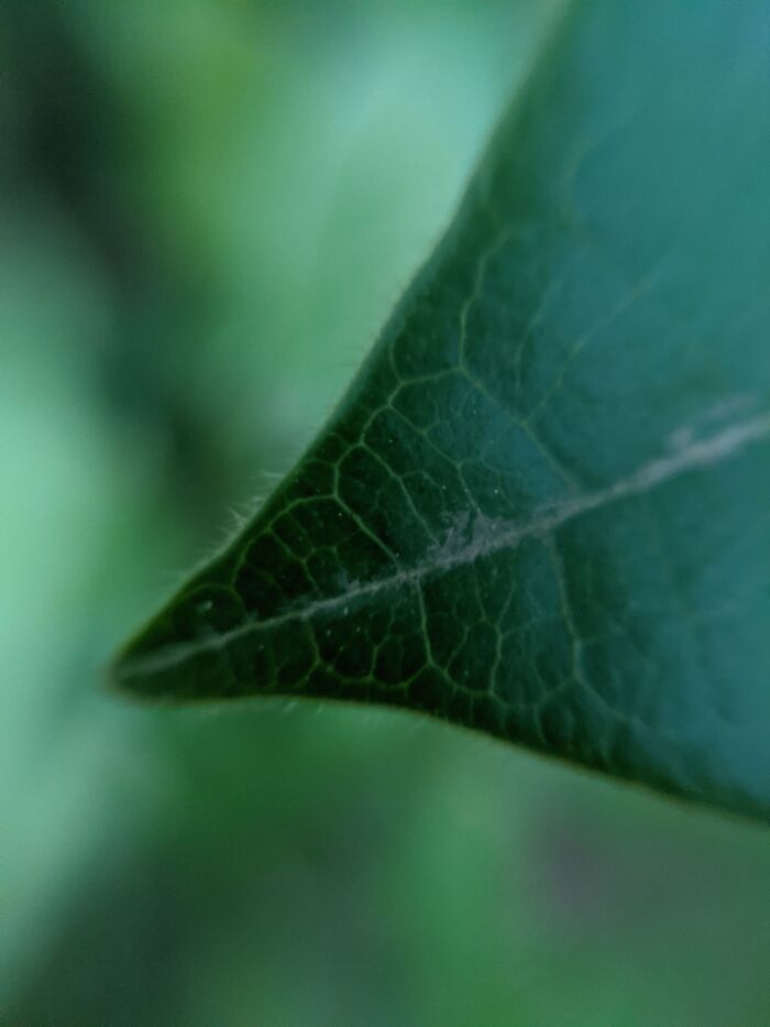 Hey Pandas, Post The Best Photographs You Took In March (Closed) Hey Pandas, Post The Best Photographs You Took In March (Closed)