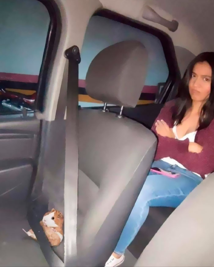 “Important Images”: 50 Unhinged Pics That Are Hard To Believe Are Real