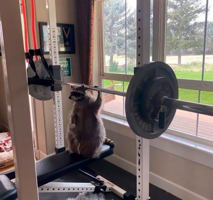 “Important Images”: 50 Unhinged Pics That Are Hard To Believe Are Real