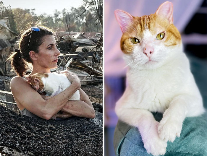 50 People Share How Their Beloved Cats Have Changed Since Being Adopted (New Pics) 50 People Share How Their Beloved Cats Have Changed Since Being Adopted (New Pics)