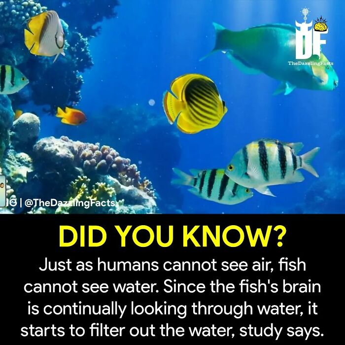 “Unbelievable But True”: 40 Random Facts And Curiosities About The World Shared On This IG Page “Unbelievable But True”: 40 Random Facts And Curiosities About The World Shared On This IG Page