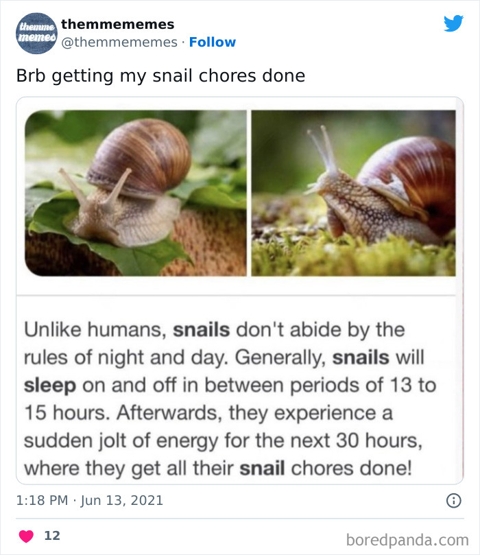 50 Painful Yet Hilarious Memes About Work That May Make You Laugh, Then Cry 50 Painful Yet Hilarious Memes About Work That May Make You Laugh, Then Cry