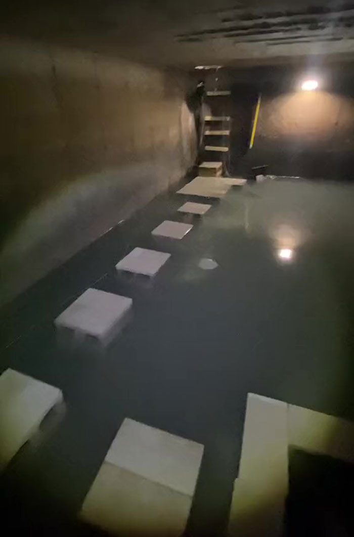 This Man Has An &#8220;Eel Pit&#8221; Under His Home And It&#8217;s Making The Internet Lose Its Mind