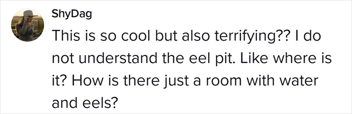 This Man Has An &#8220;Eel Pit&#8221; Under His Home And It&#8217;s Making The Internet Lose Its Mind